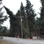 Photo by Michael Armstrong, Homer News