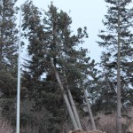 Photo by McKibben Jackinsky, Homer News