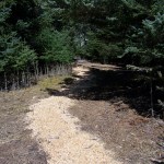 Photos by McKibben Jackinsky, Homer News