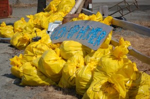 Cassidy Wylde, left, Calvin Anderson, center, and Ty Etzwiler, right, stand by bags of trash they picked up along the Sterling Highway on Monday. They were part of a Homer Wilderness Adventures Discount Rates to Boys and Girls cleanup this week, and added to the pile, photo above.-Photos by Michael Armstrong, Homer News