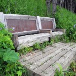 Benches offer a spot to sit and have a picnic — or look at wildflowers, like roses (previous photo).-Photo by Michael Armstrong, Homer News