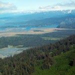 The park as seen looking toward the head of the bay.-Photo by Michael Armstrong, Homer News