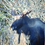 Ready for his close-up