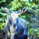 Ready for his close-up