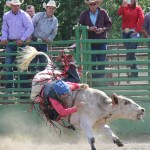 Jesse Rogde makes a rough dismount during bullriding competition at the Ninilchik Rodeo on Saturday. -Photo by McKibben Jackinsky, Homer News