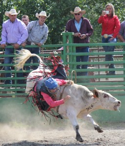 Jesse Rogde makes a rough dismount during bullriding competition at the Ninilchik Rodeo on Saturday. -Photo by McKibben Jackinsky, Homer News