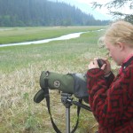Samantha Martin uses digital cameras and digi-scoping equipment provided by Alaska Maritime National Wildlife Refuge to document bear viewing in Chinitna Bay. -Photo provided