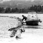 Dan Nelson inspects log booms anchored in Mud Bay in April 1989. Because of a lack of oil booms, Homer citizens improvised their own booms out of logs, plywood and plastic sheeting.