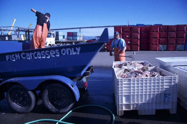 Beachcombing-Photo by Miranda Weiss