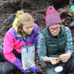 Soldotna Montessori students Kobe Curry and Ella Czarnezki look at a container holding a tiny organism found by one of the Peterson Bay Field Station naturalists during their exploration of Otter Rock. -Photo by Anna Frost; Homer News