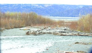 Battle Creek, home to a population of coho salmon, flows into Kachemak Bay without passing through Bradley Lake. The proposed amendment to Bradley Lake Hydroelectric Plant would divert a portion of Battle Creek’s water into the lake so it can produce energy for the Kenai Peninsula before going into the bay.-Photo by Anna Frost, Homer News