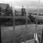 Special bird tape on windows can help reduce collisions of birds flying into the glass. (Photo provided)