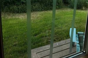 Special bird tape on windows can help reduce collisions of birds flying into the glass. (Photo provided)