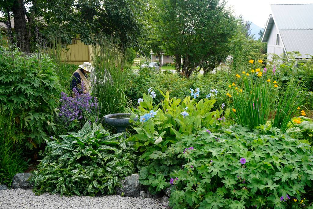 Francie Roberts Everything Garden on Mountainview Drive in Homer, Alaska includes flower beds, fountains, a vegetable garden and a greenhouse. It was one of five gardens featured in the July 29, 2018 Homer Garden Tour. (Photo by Michael Armstrong/Homer News)