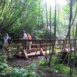 Volunteers work on a section of new trail earlier this year at Karen Hornaday Park in Homer, Alaska. (Photo courtesy Robert Archibald)