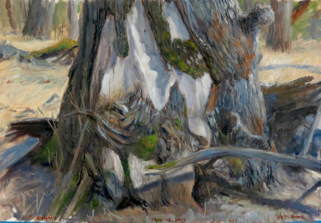 David Pettibones Year of the Tree exhibit features a single tree painted at the Eagle River Nature Center painted over the span of a year. His show opens Sept. 7, 2018, at the Homer Council on the Arts, Homer, Alaska. (Photo provided)