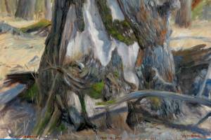 David Pettibones Year of the Tree exhibit features a single tree painted at the Eagle River Nature Center painted over the span of a year. His show opens Sept. 7, 2018, at the Homer Council on the Arts, Homer, Alaska. (Photo provided)                                David Pettibones Year of the Tree exhibit features a single tree painted at the Eagle River Nature Center painted over the span of a year. His show opens Sept. 7, 2018, at the Homer Council on the Arts, Homer, Alaska. (Photo provided)