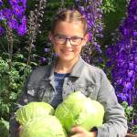 Kachemak Gardener: Working through the denial punch list