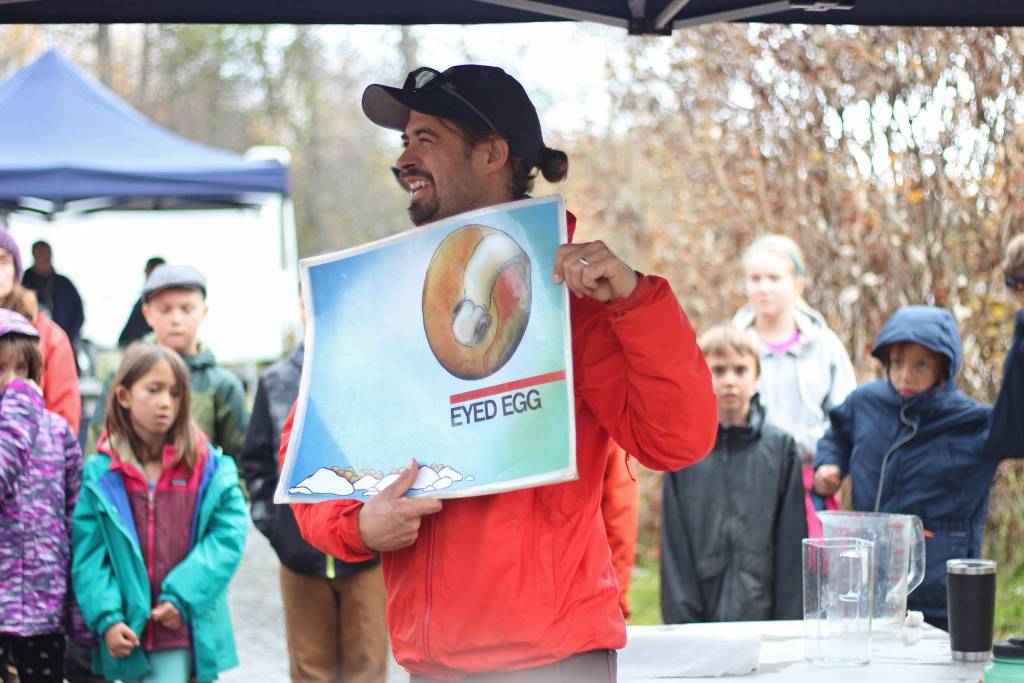 Fisheries biologist Martin Schuster holds up a diagram showing one of the stages of salmon fertilization and growth during an educational egg take trip for students from Chapman School and Fireweed Academy on Thursday, Oct. 4, 2018 at the Anchor River in Anchor Point, Alaska. (Photo by Megan Pacer/Homer News)