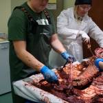 Kachemak Bay Campus Semester by the Bay student Sam Roth, left, helps Dr. Debbie Boege Tobin, right, on Tuesday, Oct. 16, 2018, at the Alaska Islands and Ocean Visitor Center in Homer, Alaska, flense a subadult beluga whale found on the Deep Creek beach on Saturday, Oct. 13, 2018, near Ninilchik, Alaska. Also helping were student Sophia Peterson and Lee Post. The students were removing tissue from the whale in preparation for cleaning it as part of Posts bone articulation class. Roth visits from the University of New Hampshire, Durham, and Peterson from the University of North Carolina at Wilmington. The whale was collected under permits from the National Marine Fisheries and Alaska SeaLife Center. (Photo by Michael Armstrong/Homer News)