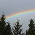 A rainbow peaks out from between the trees near the Homer News office on Tuesday, Oct. 16, 2018 in Homer, Alaska. A double rainbow was spotted in a few different places around town between periods of rain. (Photo by Megan Pacer/Homer News)