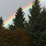 A rainbow peaks out from between the trees near the Homer News office on Tuesday, Oct. 16, 2018 in Homer, Alaska. A double rainbow was spotted in a few different places around town between periods of rain. (Photo by Megan Pacer/Homer News)