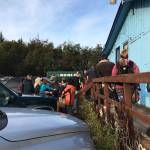 People queue up waiting for Barbs Video and DVD to open on Saturday, Oct. 20, 2018 in Homer, Alaska. Movie lovers got there early to get their hands on their favorite films on the first day of the movie rental stores merchandise sale. (Photo by Megan Pacer/Homer News)