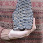 In a photo taken on Nov. 16, 2018, Aaron Carpenter holds a mammoth tooth he found on the beach north of Diamond Creek on Oct. 27, 2018, near Homer, Alaska. (Photo by Michael Armstrong/Homer News)