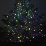 Lights glow on the tree outside the Homer Chamber of Commerce and Visitor Center on Friday, Nov. 30, 2018 for the chambers annual Holiday Tree Lighting event in Homer, Alaska. This year, Santa Claus arrived riding a fire engine while guests were treated to holiday goodies and children lined up for photos with the big man himself. (Photo by Megan Pacer/Homer News)