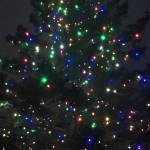 Photos: Chamber’s Holiday Tree Lighting