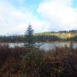 KHLT, Hillstrand create 302-acre preserve