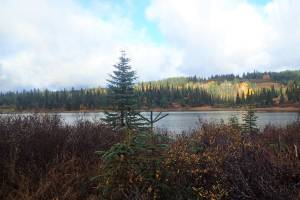 KHLT, Hillstrand create 302-acre preserve