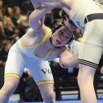Homer boys capture state wrestling title