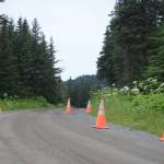 Cones on Dorothy Drive mark the area where neighbors at the end of the rural road plan to vacate the last 2,000 feet and turn it into a private, gated road. After this photo was taken on July 9, 2018, builders put in a circular turn around on the road downhill from East Skyline Drive in Homer, Alaska. (Homer News file photo)