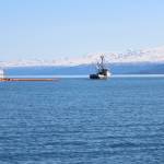 Three fishing vessels navigate a boom around Kachemak Bay during annual oil spill response training Saturday, April 14, 2018 in Homer, Alaska. Training organizers set out red buoys to simulate areas of oil slick the boats needed to aim for. (Photo by Megan Pacer/Homer News)