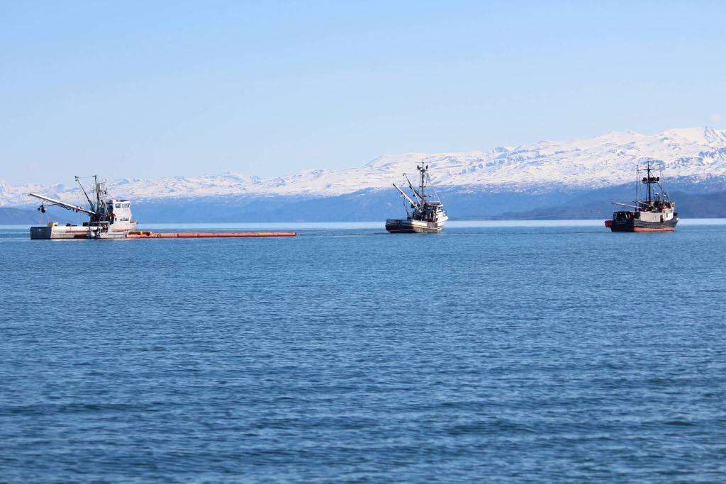 Three fishing vessels navigate a boom around Kachemak Bay during annual oil spill response training Saturday, April 14, 2018 in Homer, Alaska. Training organizers set out red buoys to simulate areas of oil slick the boats needed to aim for. (Photo by Megan Pacer/Homer News)