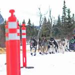 Musher Cim Smyth directs his dogs into the lane marking the finsih line of this years Tustumena 200 Sled Dog Race on Sunday, Jan. 27, 2019 at Freddies Roadhouse near Ninilchik, Alaska. Smyth, who has won the T200 several times, came in second this year. (Photo by Megan Pacer/Homer News)