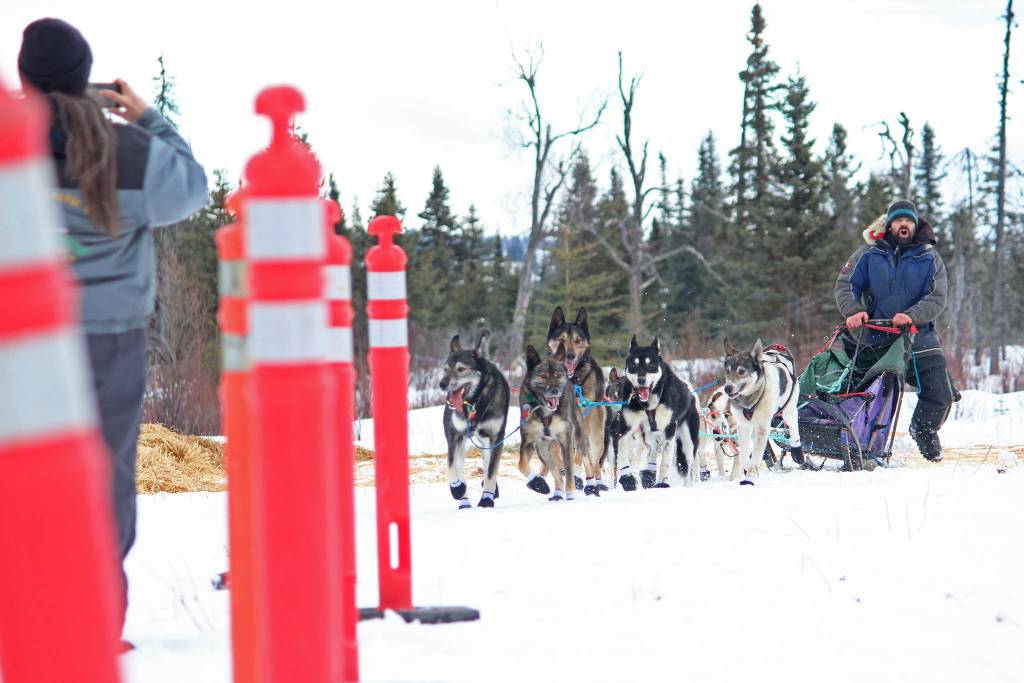 Musher Cim Smyth directs his dogs into the lane marking the finsih line of this years Tustumena 200 Sled Dog Race on Sunday, Jan. 27, 2019 at Freddies Roadhouse near Ninilchik, Alaska. Smyth, who has won the T200 several times, came in second this year. (Photo by Megan Pacer/Homer News)