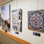 Photographs by Dr. Edson Knapp on exhibit at South Peninsula Hospital in Homer, Alaska. (Photo provided)