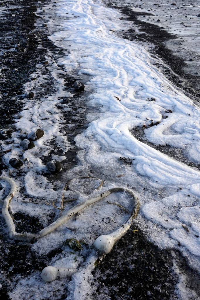 Ice forms at the tide line on the beach near Mariner Park on Tuesday, Jan. 8, 2019, in Homer, Alaska. (Photo by Michael Armstrong/Homer News)
