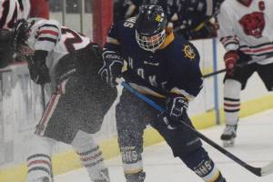 Homer hockey reaches state final