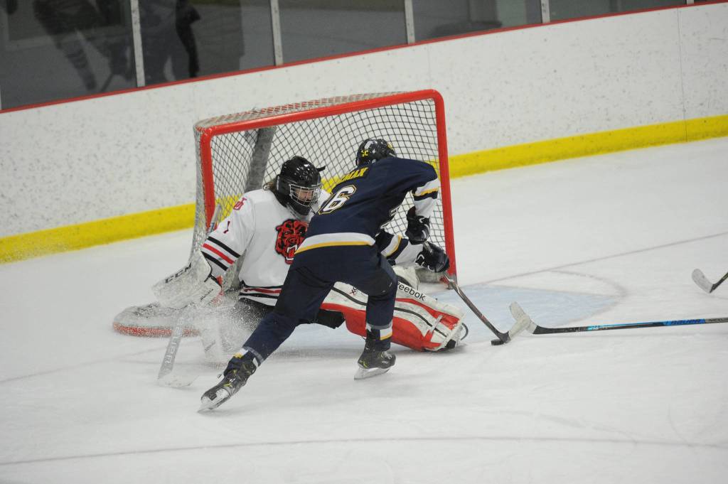during the Crimson Bears 3-0 semi-final loss in the Division II state hockey championships Friday, February 2, 2019. (Photo for the Empire by Michael Dinneen)