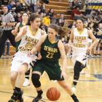 Homers Marina Carroll fouls Sewards Ashley Jackson on Friday, Feb. 8, 2019 during the Winter Carnival Basketball Tournament in Homer, Alaska. (Photo by Megan Pacer/Homer News)