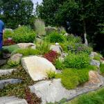 Steps are incorporated into the rock garden at the Flip and Marguerite Felton home. It was one of five gardens featured in the 2018 Homer Garden Tour. (Photo by Michael Armstrong/Homer News)