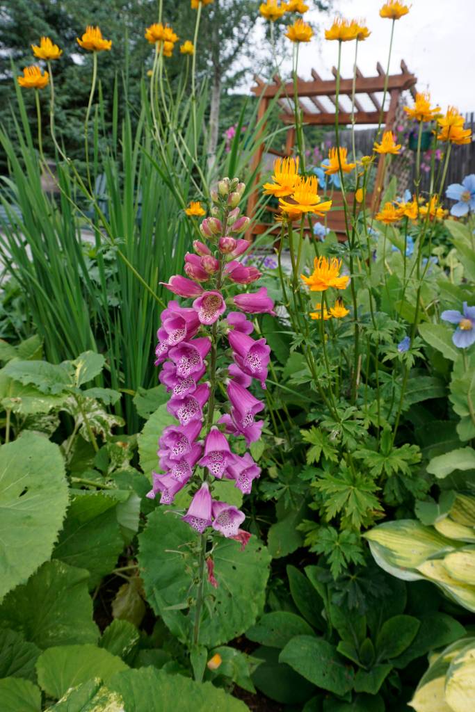 Francie Roberts Everything Garden includes flower beds, fountains, a vegetable garden and a greenhouse. It was one of five gardens featured in the 2018 Homer Garden Tour. (Photo by Michael Armstrong/Homer News)