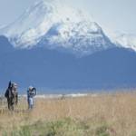 Two birders scan Bishops Beach in, May 2018, during the Kachemak Bay Shorebird Festival. (Photo by Michael Armstrong/Homer News)