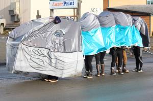 Members of the Kachemak Bay Campus Student Association march down Pioneer Avenue in a whale costume Feb. 9, 2019 during the Winter Carnival Parade in Homer, Alaska. The student association is among the organizations that would sustain major cuts under Gov. Mike Dunleavys proposed budgets. (Photo by Megan Pacer/Homer News)