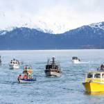 Anglers return in their boats to the Homer Harbor from Kachemak Bay at the end of the Homer Winter King Salmon Tournament held Saturday, March 23, 2019 in Homer, Alaska. (Photo by Megan Pacer/Homer News)