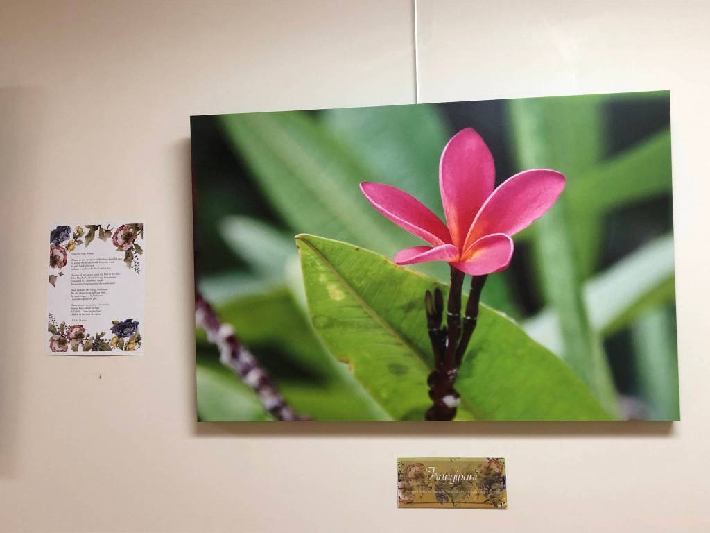 A photograph by Dr. Edson Knapp, right, and a poem by Linda Martin, left, from Spring, a collaborative show by them showing at South Peninsula Hospital. (Photo provided)