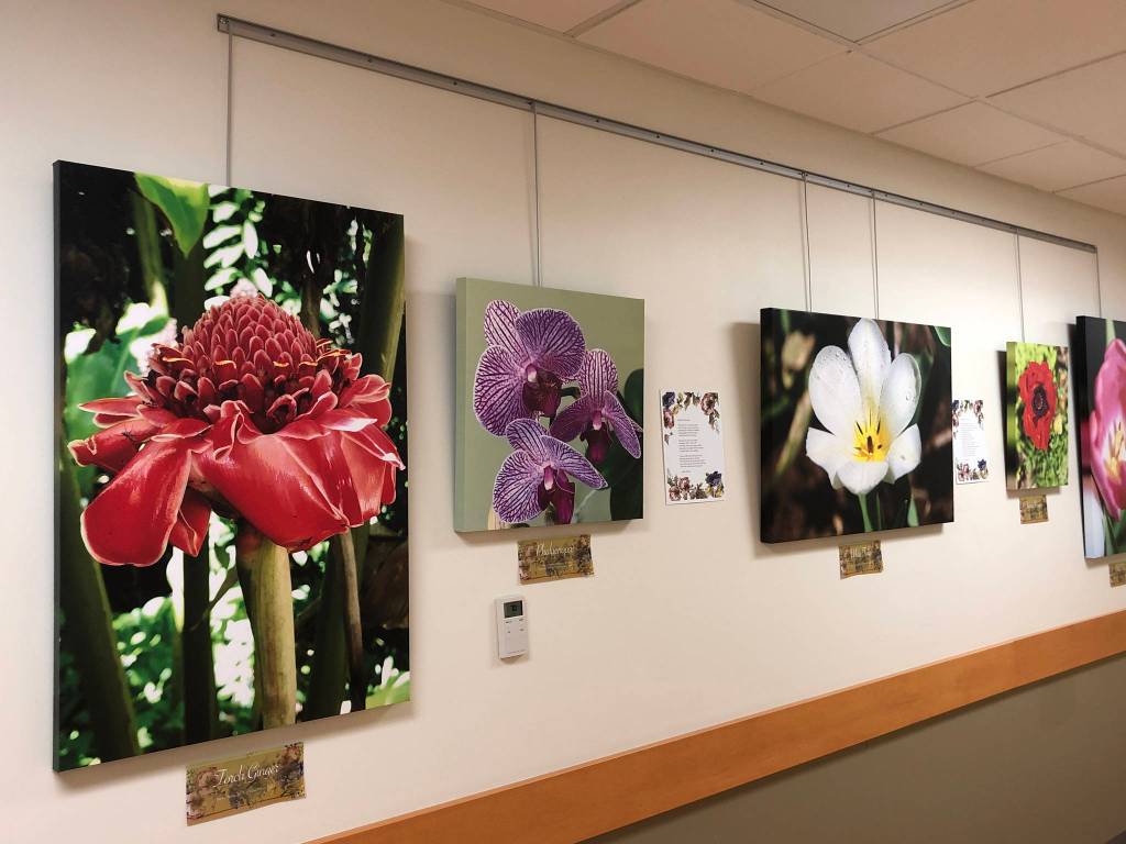 Photographs by Dr. Edson Knapp and poems by Linda Martin from Spring, a collaborative show by them showing at South Peninsula Hospital. (Photo provided)